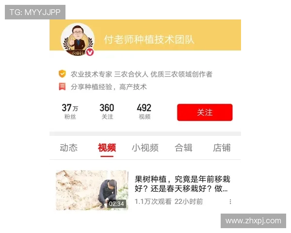 新葡京网站登录入口常见问题解答，解决登录过程中遇到的各种技术难题与安全疑虑