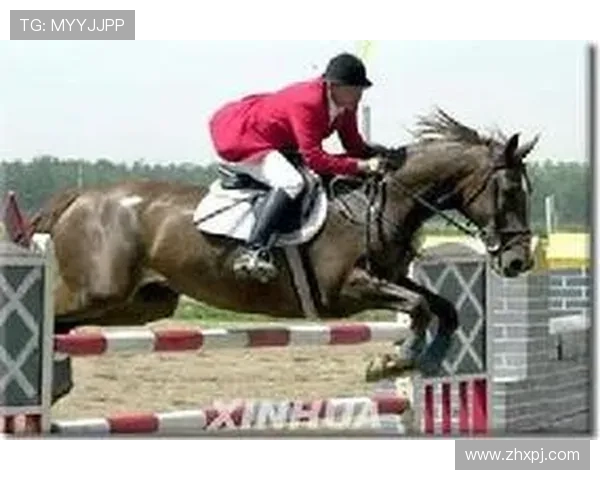 hkjc中文站：详细解析香港赛马会网站的注册流程与账户管理技巧